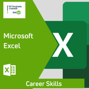 Career Skills Excel